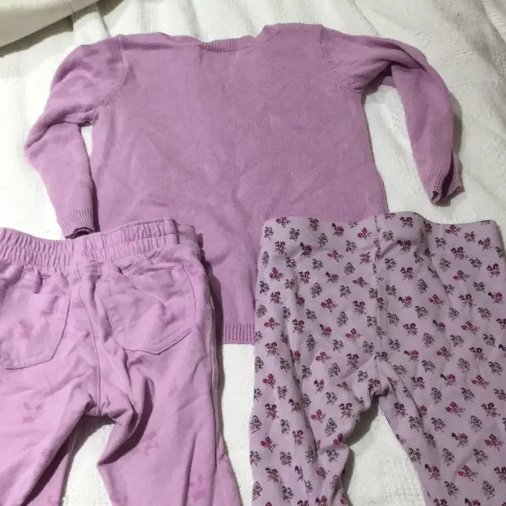 Lavander Fox sweater leggings bundle 18-24…